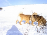 Picture042