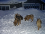 PICT8286