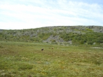 DSC01660