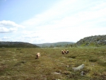 DSC01666