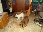 DSC02910