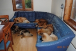 Picture007