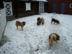 Picture011