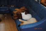 Picture074