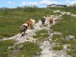 sommar09