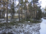 DSC00339
