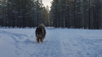 20160204_133533