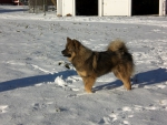 Cilla