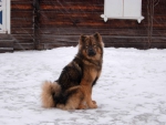 Cilla0092