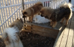 Picture_937