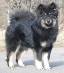 944366_10200296006580444_449477672_n