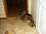 dsc01027