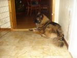dsc01028