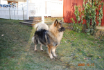 picture024