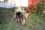 picture025