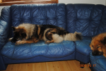 picture054