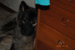 picture079