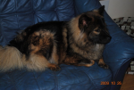 picture082