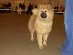 Cetika_003