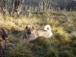 c3_74