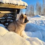 IMG_20210129_120413_729