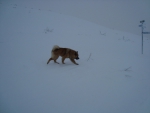 Picture 581