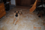 Picture_069