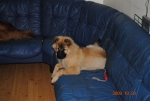 Picture_091