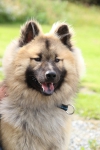 IMG_8359-Leo