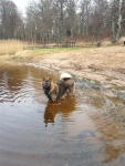 bild10