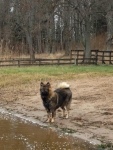 bild11