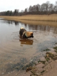 bild12
