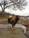 bild13