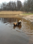 bild14
