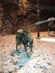bild15