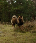 bild8