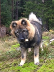 bild9