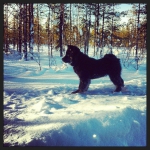 11011_10151527802028993_761605086_n