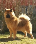20140324_154648-1-1