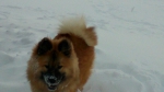 mms_20140112_2