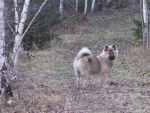 PICT0044