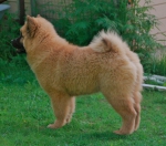 11050811_10152920092797109_1338993104411546190_n