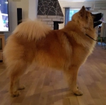 12438988_10153260412477109_4960441690047476251_n