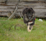 19989627_10155392126854435_8235443489475375258_n