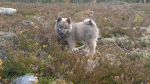 DSC_1168-1200x675